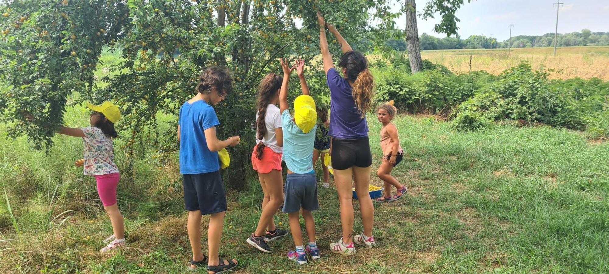 קרמונה Agriturismo Il Campagnino מראה חיצוני תמונה