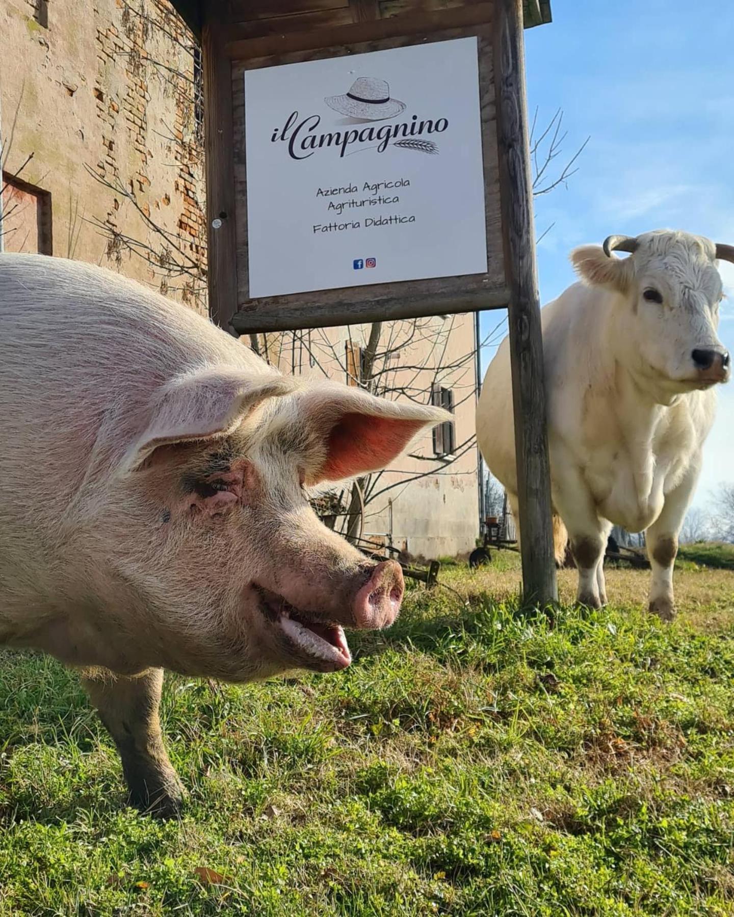 קרמונה Agriturismo Il Campagnino מראה חיצוני תמונה